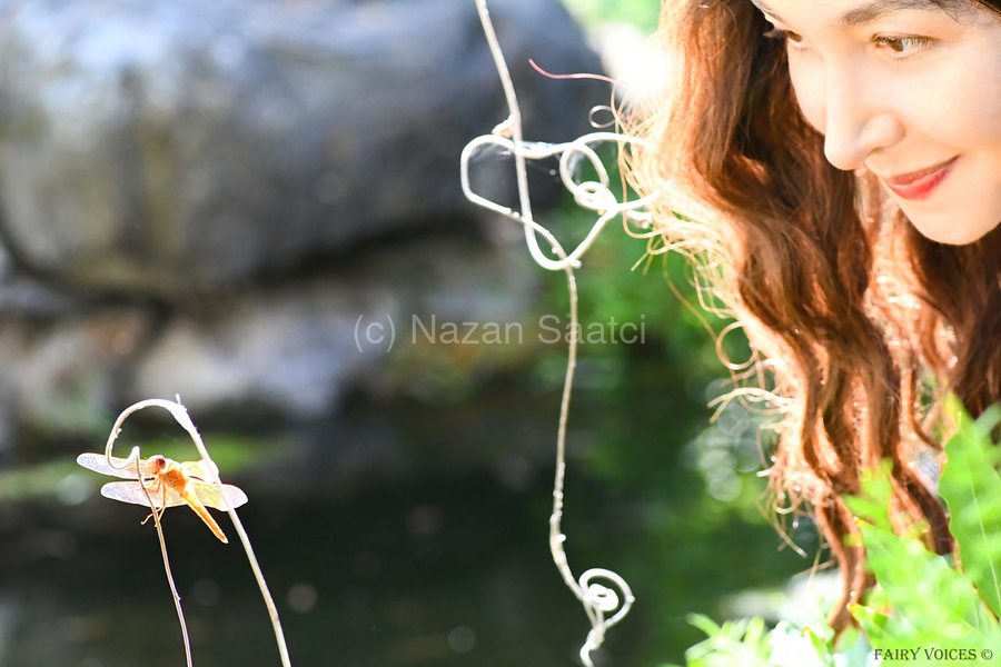 THE APPLE OF MY EYE Dragonfly Fairy Collection 2-5 by Nazan Saatci  Print