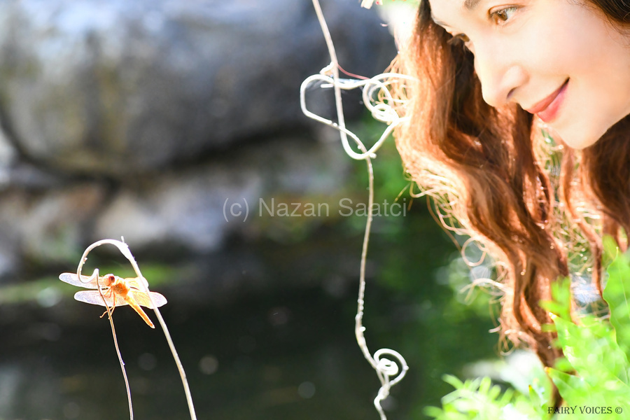 THE APPLE OF MY EYE Dragonfly Fairy Collection 5-5 by Nazan Saatci  Print