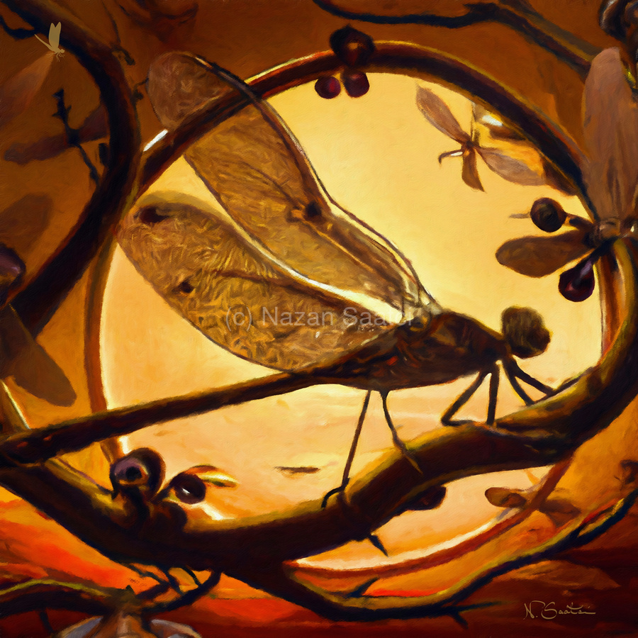 Dragonfly at Sunset Wall art by Nazan Saatci art  Print