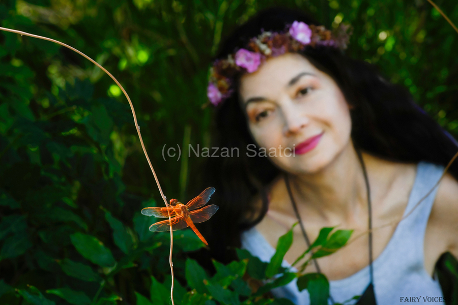 YOU ARE ALWAYS ON MY MIND Dragonfly Fairy Collection 2-4 by Nazan Saatci   Print