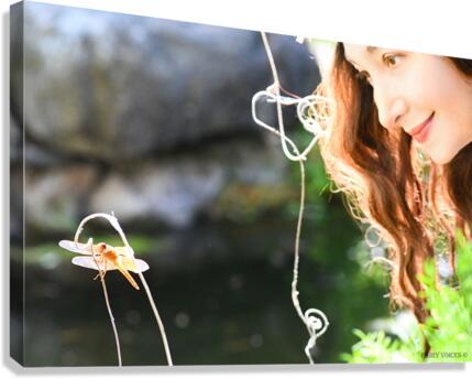 THE APPLE OF MY EYE Dragonfly Fairy Collection 5-5 by Nazan Saatci  Canvas Print