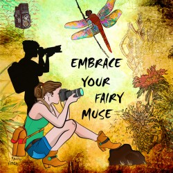 EMBRACE YOUR FAIRY MUSE Wall ART Photographers dragonfly art by Fairy Voices
