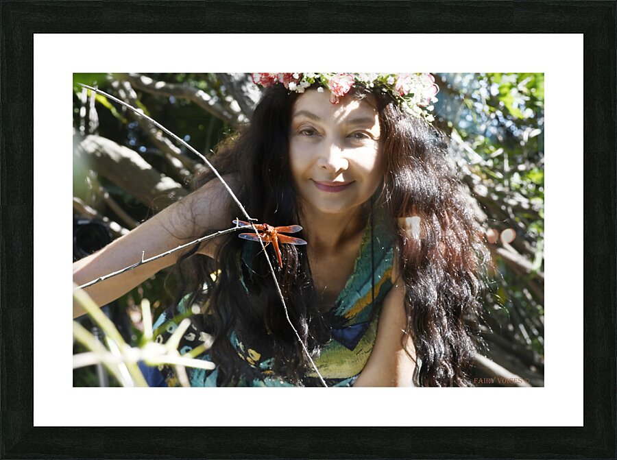 A TINY BEING WITH A BIG MISSION  Dragonfly fairy Collection  2-12 by Fairy Voices  Framed Print Print