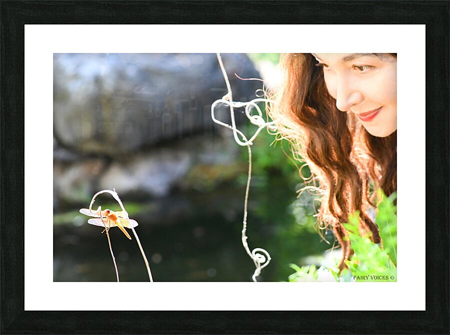 THE APPLE OF MY EYE Dragonfly Fairy Collection 2-5 by Nazan Saatci  Framed Print Print