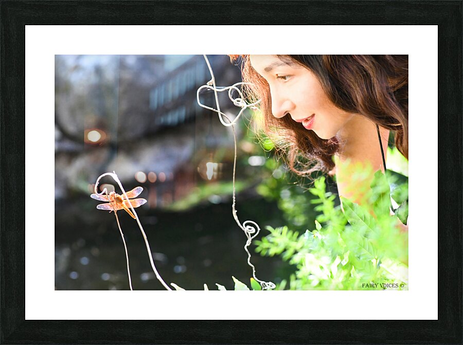 THE APPLE OF MY EYE Dragonfly Fairy Collection 3-5 by Nazan Saatci  Framed Print Print