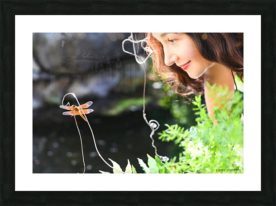  THE APPLE OF MY EYE Dragonfly Fairy Collection 4-5 by Nazan Saatci  Framed Print Print
