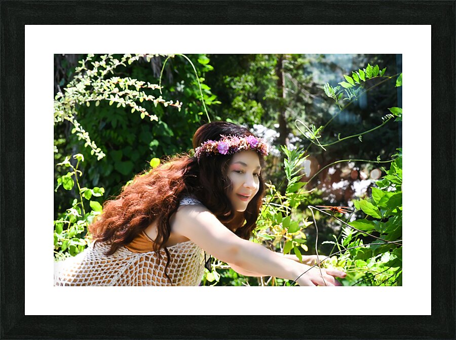LETS STRIKE A POSE  Dragonfly Fairy Collection by Nazan Saatci 1-5  Framed Print Print