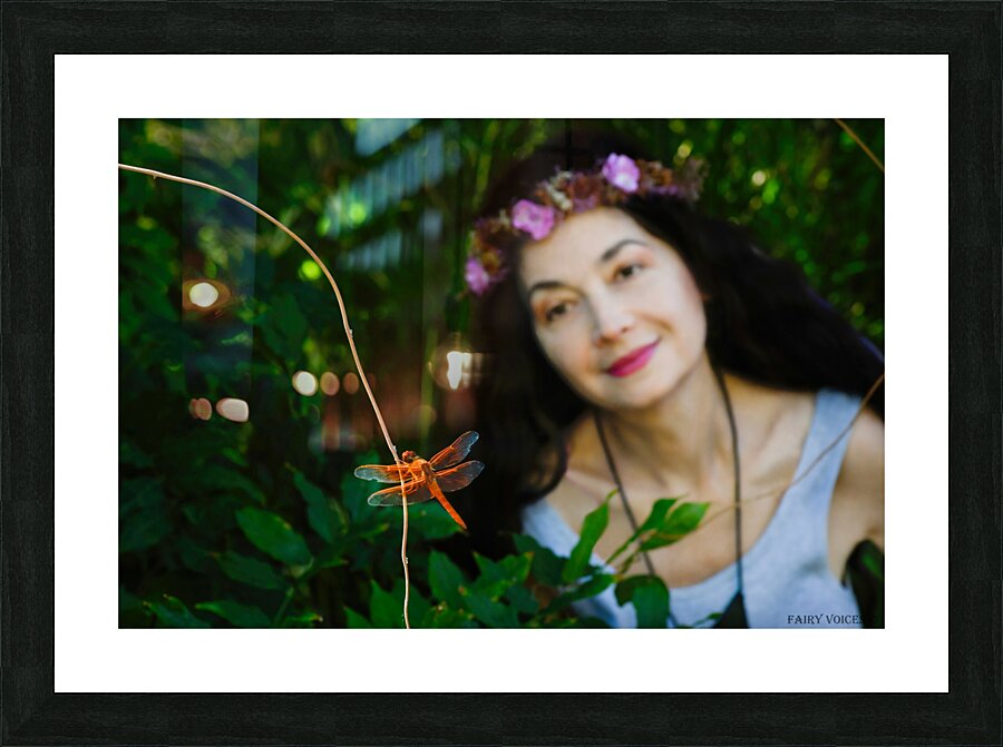 YOU ARE ALWAYS ON MY MIND Dragonfly Fairy Collection 2-4 by Nazan Saatci   Framed Print Print