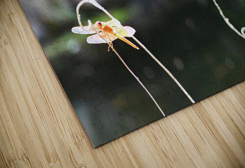THE APPLE OF MY EYE Dragonfly Fairy Collection 5-5 by Nazan Saatci Nazan Saatci puzzle