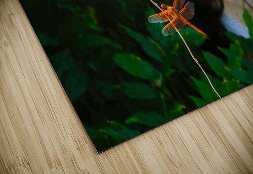 YOU ARE ALWAYS ON MY MIND Dragonfly Fairy Collection 2-4 by Nazan Saatci  Nazan Saatci puzzle