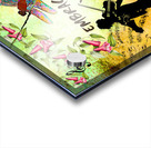 EMBRACE YOUR FAIRY MUSE Violinist 1-2 wall art gift dragonfly art by Fairy Voices Acrylic print