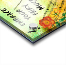 EMBRACE YOUR FAIRY MUSE -ART-PIANIST dragonfly art For Piano Lovers  Acrylic print