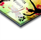 EMBRACE YOUR FAIRY MUSE Ballet Ballerina Gift 4-4 Dragonfly Fairy Art by Fairy Voices Acrylic print