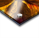 Embrace Your Fairy Muse quote  Piano Music Dragonfly Wall Art by Nazan Saatci Art Acrylic print