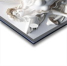 Forest Fairy DS Acrylic print