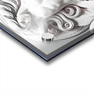 Mermaid Dreams   DS Acrylic print