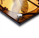 Dragonfly at Sunset Wall art by Nazan Saatci art Acrylic print