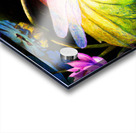 Dragonfly  on a waterlily pad  wall art by Nazan Saatci art Acrylic print