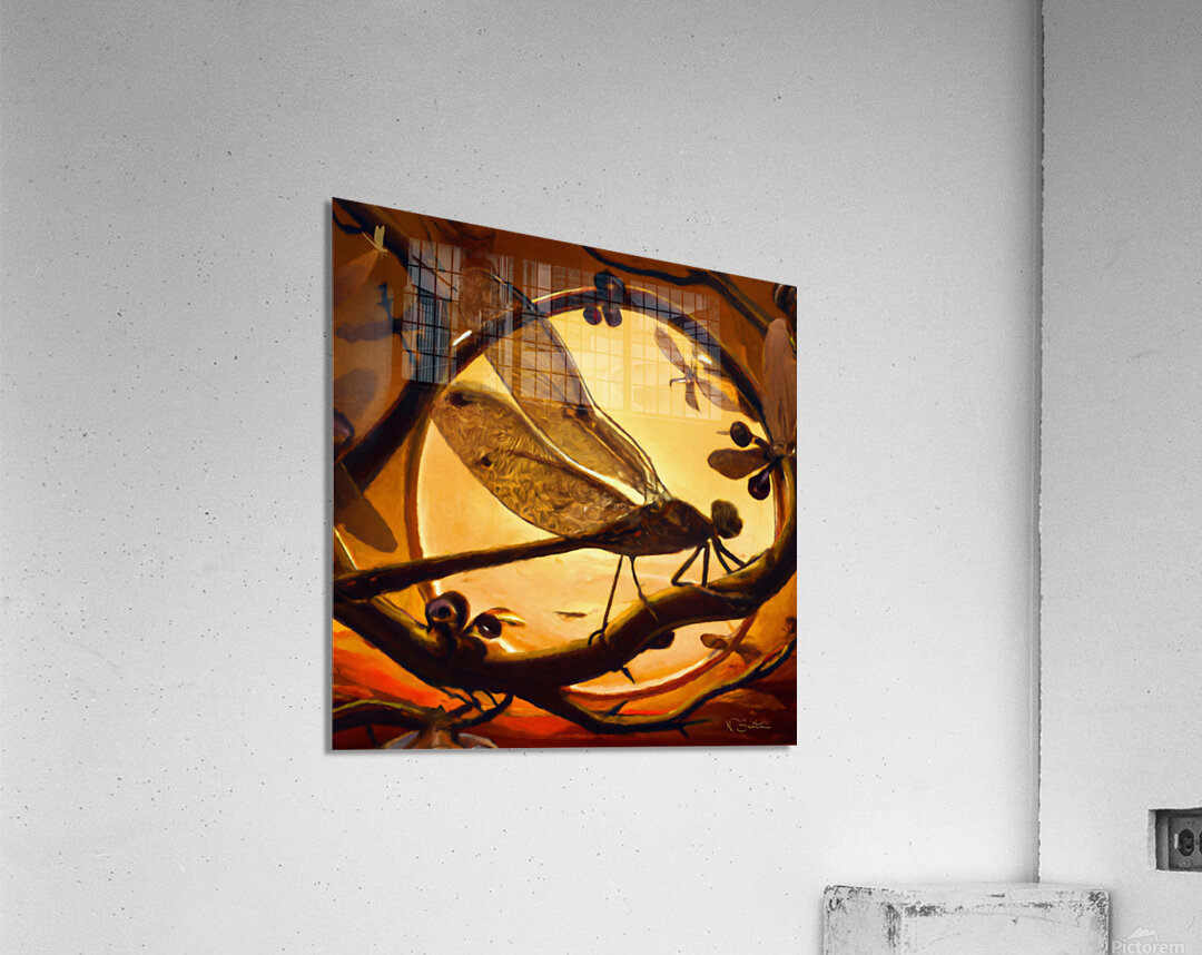 Dragonfly at Sunset Wall art by Nazan Saatci art Acrylic Print