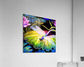 Dragonfly  on a waterlily pad  wall art by Nazan Saatci art  Impression acrylique