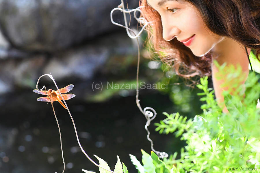  THE APPLE OF MY EYE Dragonfly Fairy Collection 4-5 by Nazan Saatci  Imprimer