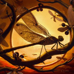 Dragonfly at Sunset Wall art by Nazan Saatci art