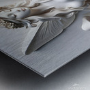 Forest Fairy DS Metal print