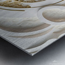 Woman with Dragonfly DS Metal print