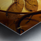 Dragonfly at Sunset Wall art by Nazan Saatci art Metal print