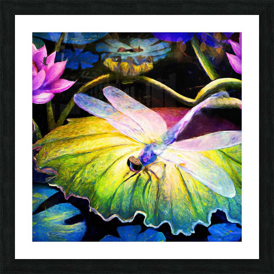Dragonfly  on a waterlily pad  wall art by Nazan Saatci art Picture Frame print